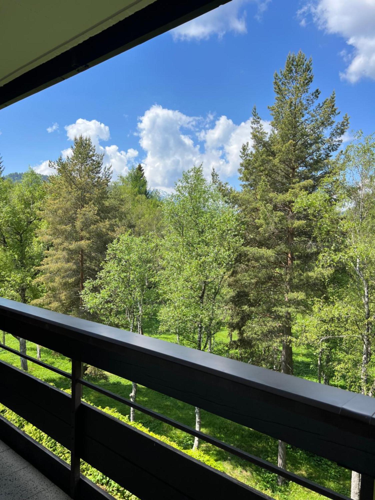 Appartementhaus Birkenwald Seefeld in Tirol Eksteriør billede
